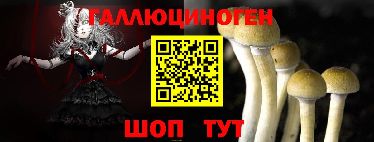 Псилоцибиновые грибы Magic Shrooms  Вход с VPN  Галлюциногенные грибы мухоморы  где найти наркотики  Саратов 